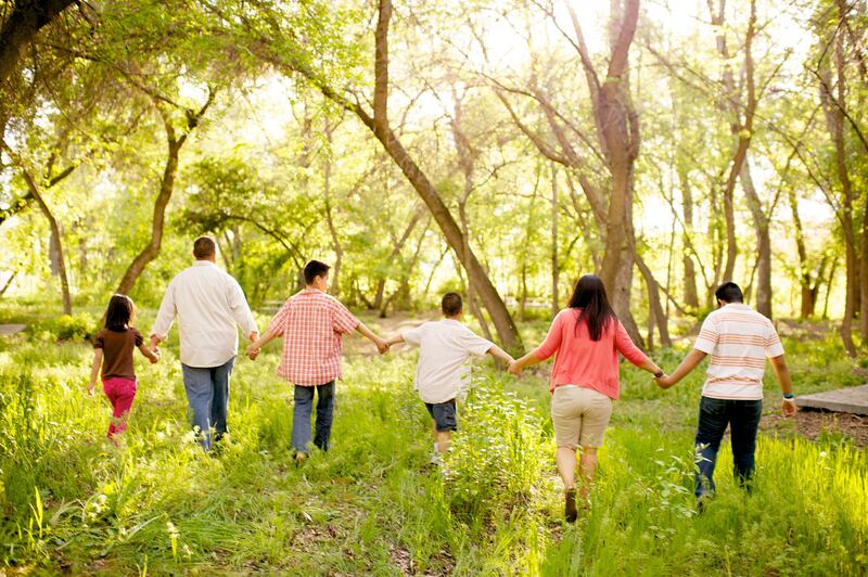 Una familia camina junta tomada de la mano entre los árboles.