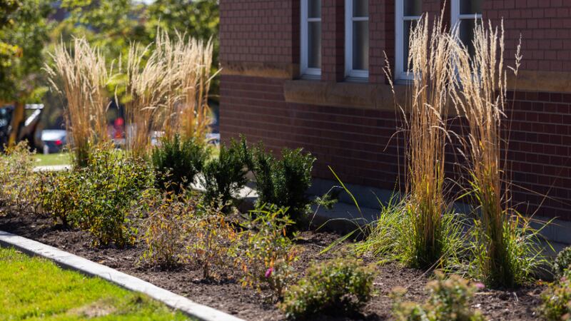 Se muestra el paisajismo con uso eficiente del agua y césped, plantas y árboles resistentes a la sequía en octubre de 2023 en una capilla de Utah.