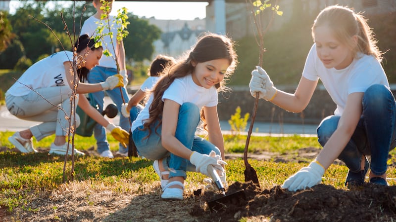 Los niños plantan árboles durante una actividad de servicio.