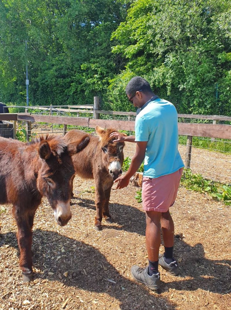 El élder Daniel Miller acaricia a un burro en el Santuario de Rescate de Caballos y Burros de Huddersfield en Huddersfield, Inglaterra, en 2025.