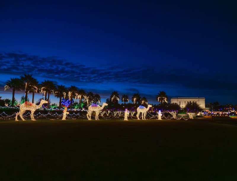 Las luces navideñas se exhiben en los jardines del Templo de Mesa, Arizona, el 5 de diciembre de 2025.