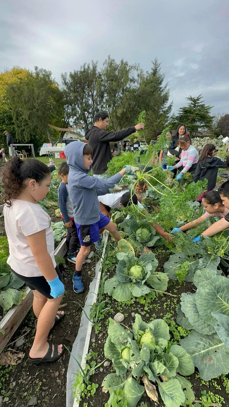 Los niños de Primaria y otros miembros de la Rama Mona Vale, Estaca Christchurch Nueva Zelanda, muestran muchas de las verduras que cosecharon del huerto de la rama para una actividad de servicio de Primaria el 12 de abril de 2025.