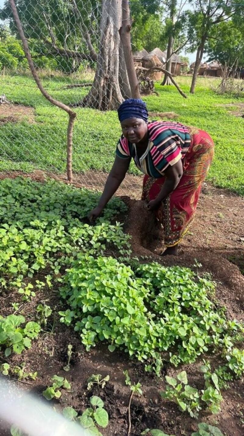 Christiana, una madre en Ghana, trabaja en su jardín de ojo de cerradura.