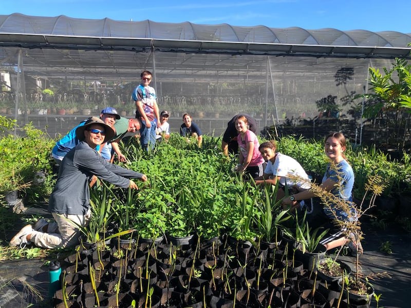 Voluntarios de JustServe trabajan en un vivero de plantas durante el Día Internacional de Servicio en Quebradillas, Puerto Rico.