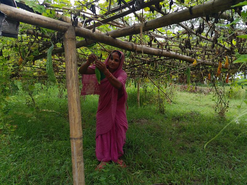 Ritu Devi Mandal está de pie junto a su jardín en Saptari, Nepal.