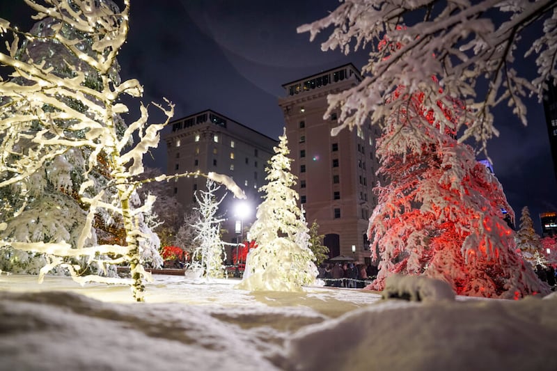 Árboles cubiertos de nieve iluminados en la primera noche del encendido anual de las luces Navideñas en la Manzana del Templo, en Salt Lake City, Utah, el viernes 29 de noviembre de 2019.