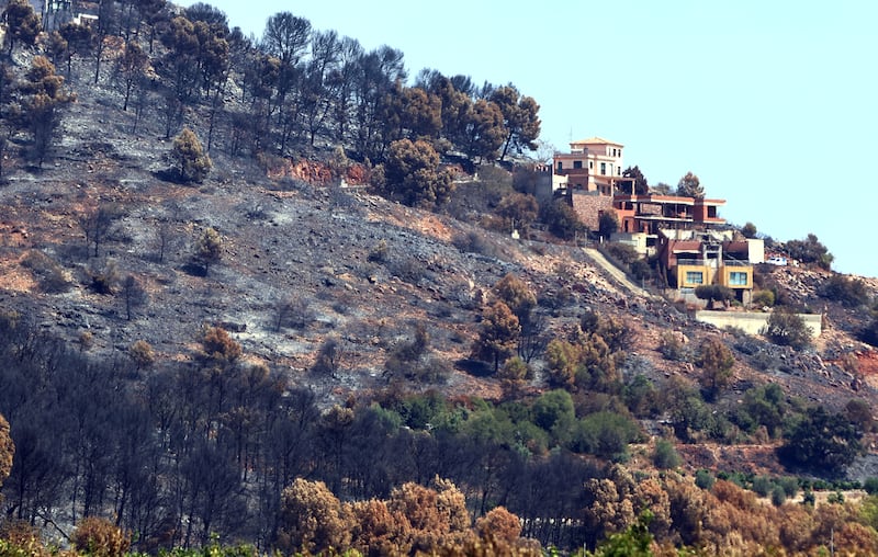 Árboles quemados en un área devastada por un incendio forestal cerca de Vila Vella, provincia de Valencia, España, jueves 30 de julio de 2026. (AP Photo/Damian Torres)