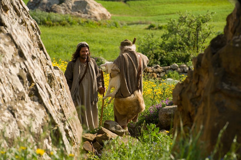 Un pastor encuentra su oveja perdida.
